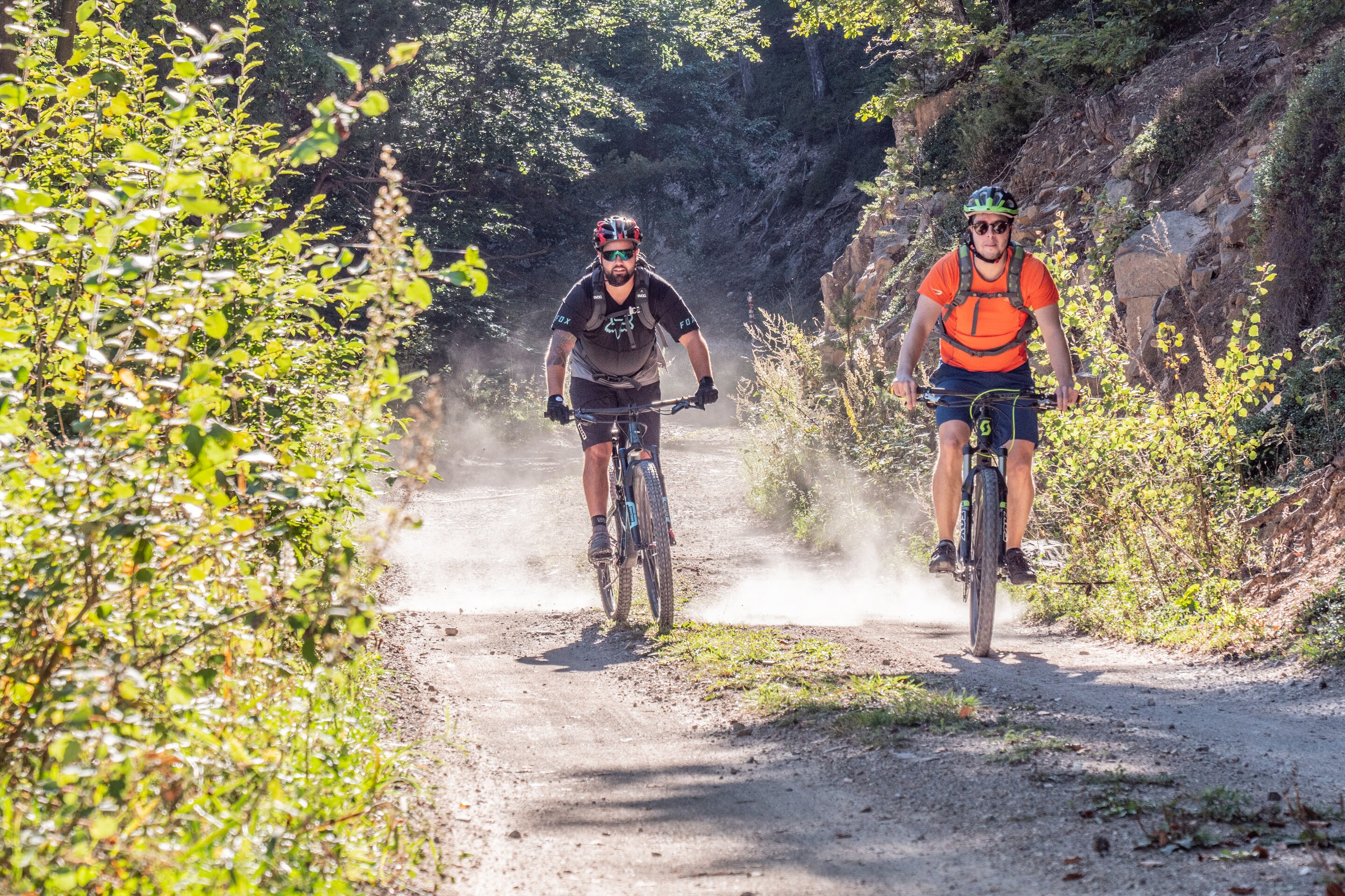 Mtb Ph A Monticelli 26