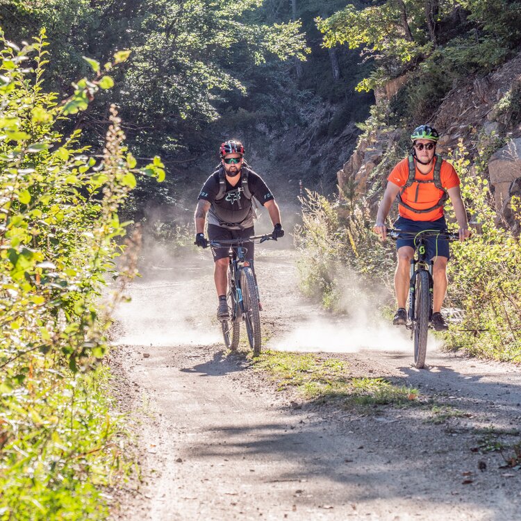 Mtb Ph A Monticelli 26