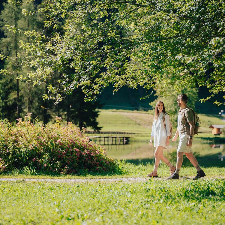 Foto Apt Pine Edit 20