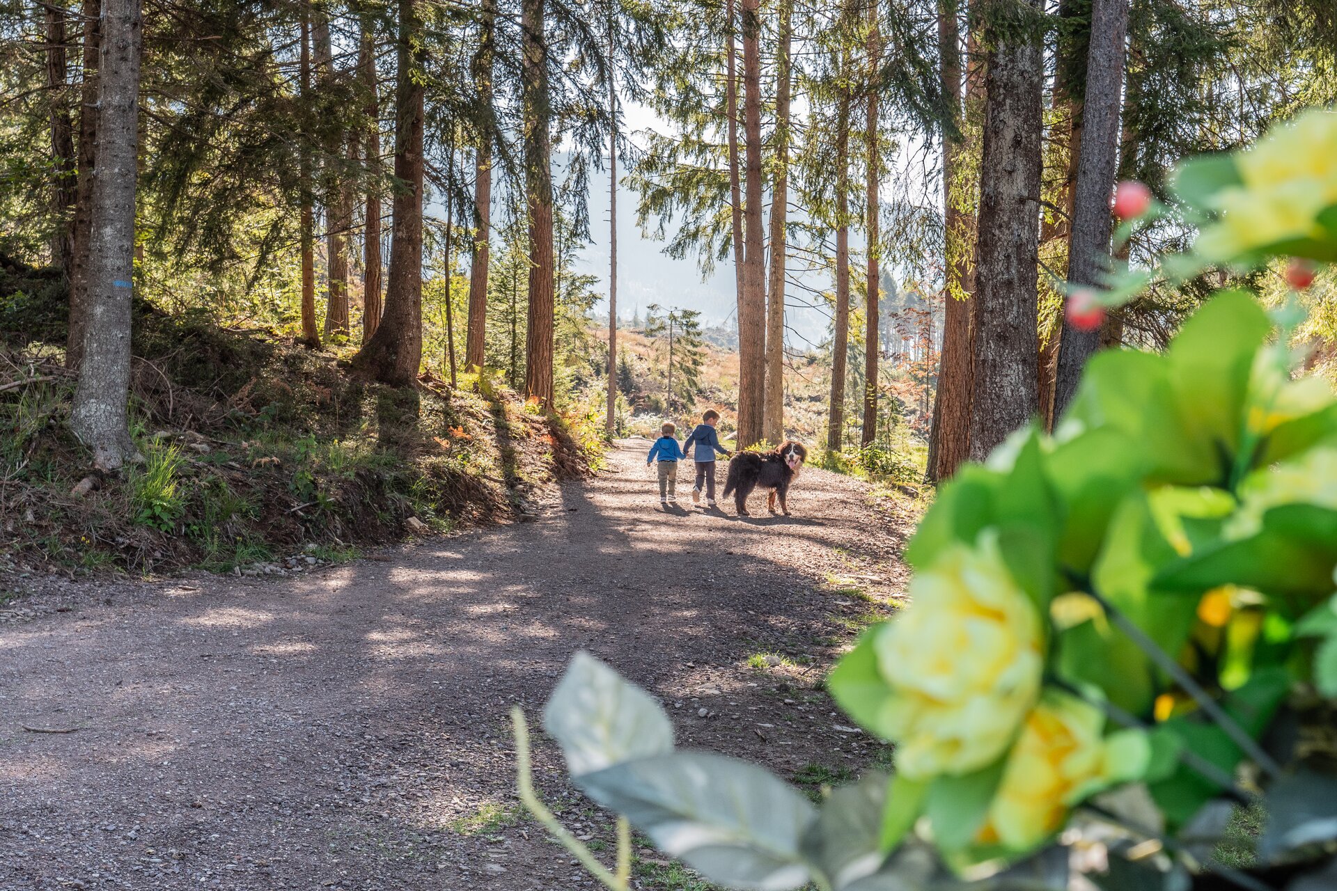 Accessible itineraries 