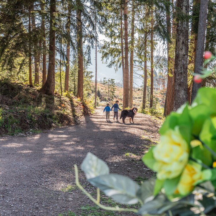 Itinerari Accessibili