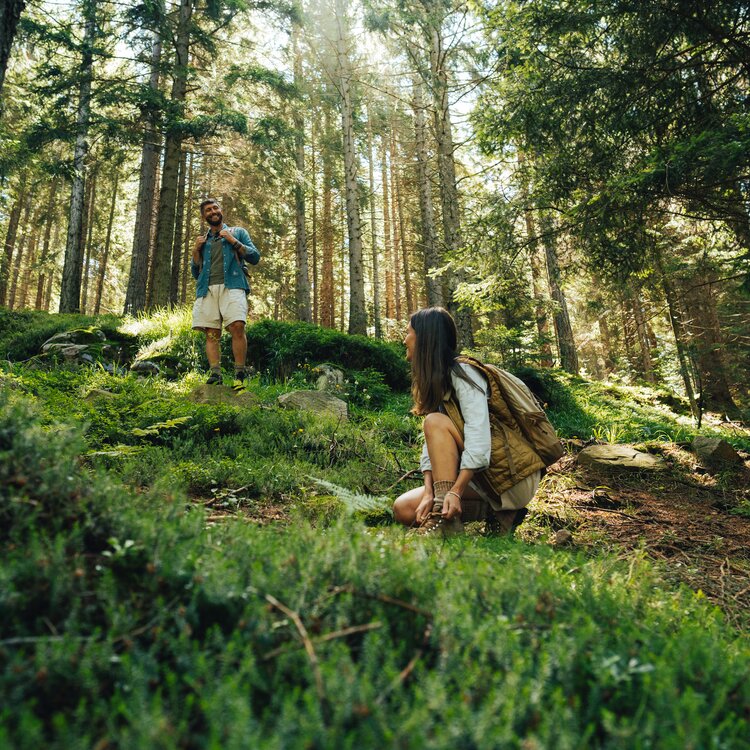 Foto Apt Pine Edit 91