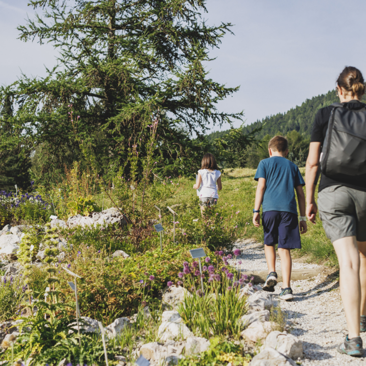 Immagine 2025 10 21 100711