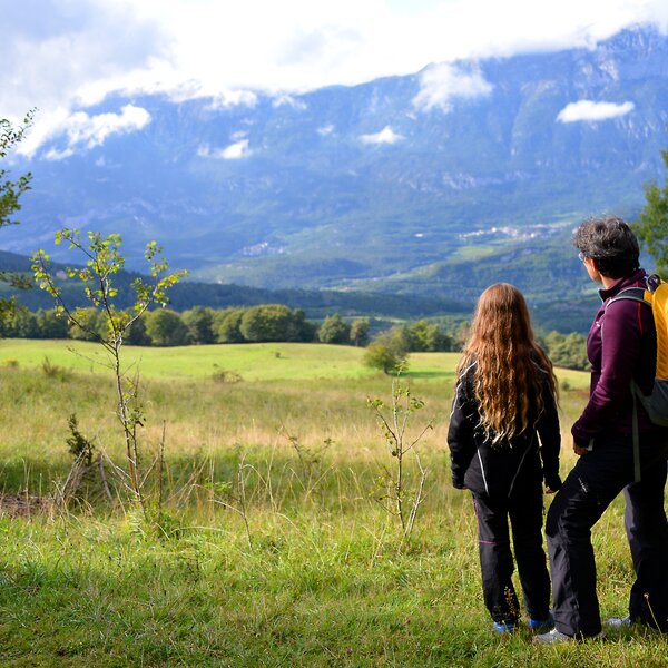 Malga Brigolina Monte Bondone 211 M