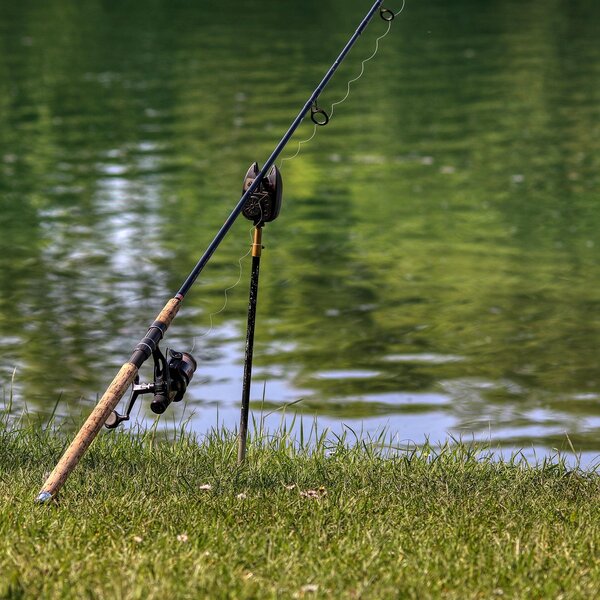 Fishing 5183070 1920