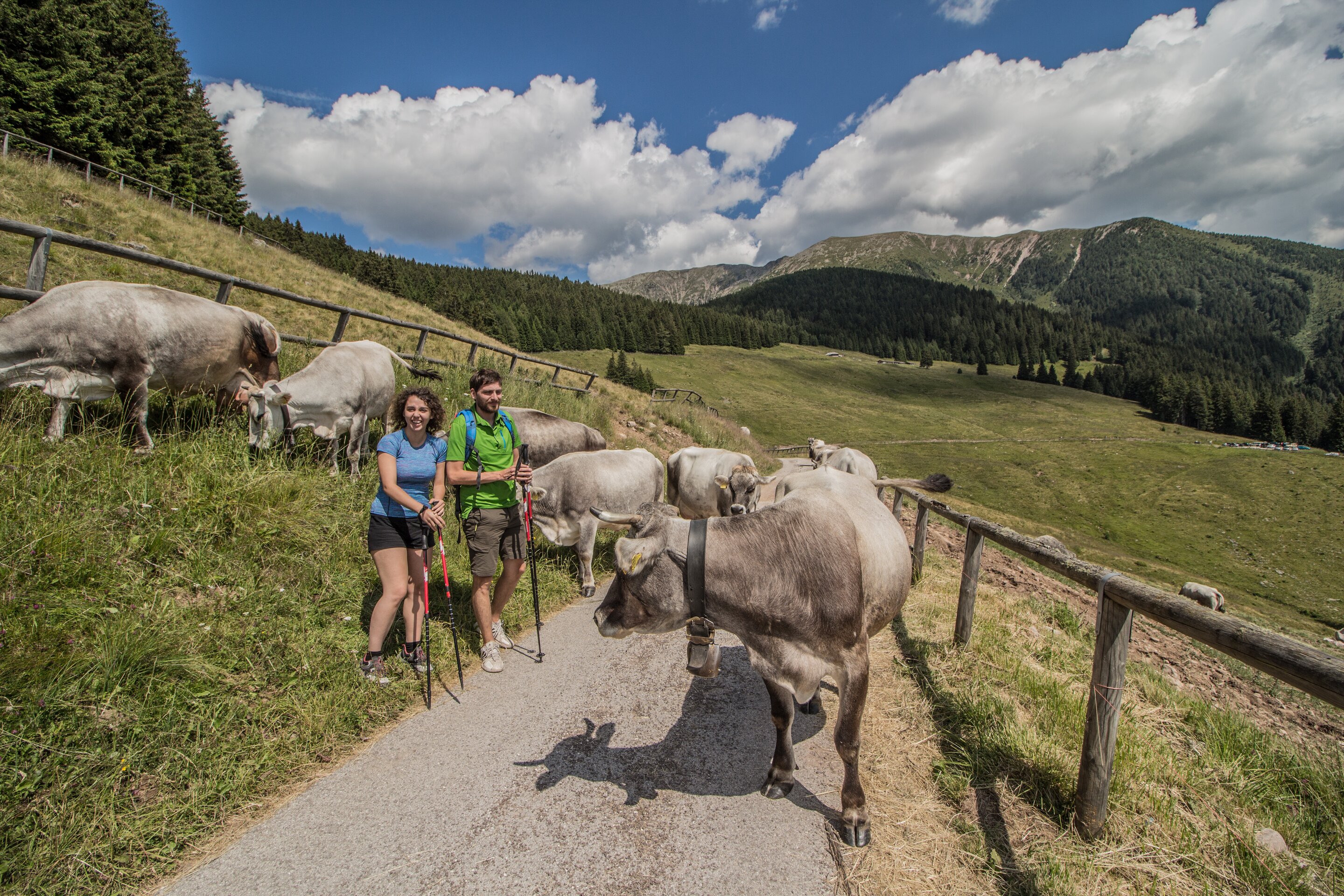 Trekking Malga Stramaiolo Passo Redebus A Monticelli 36