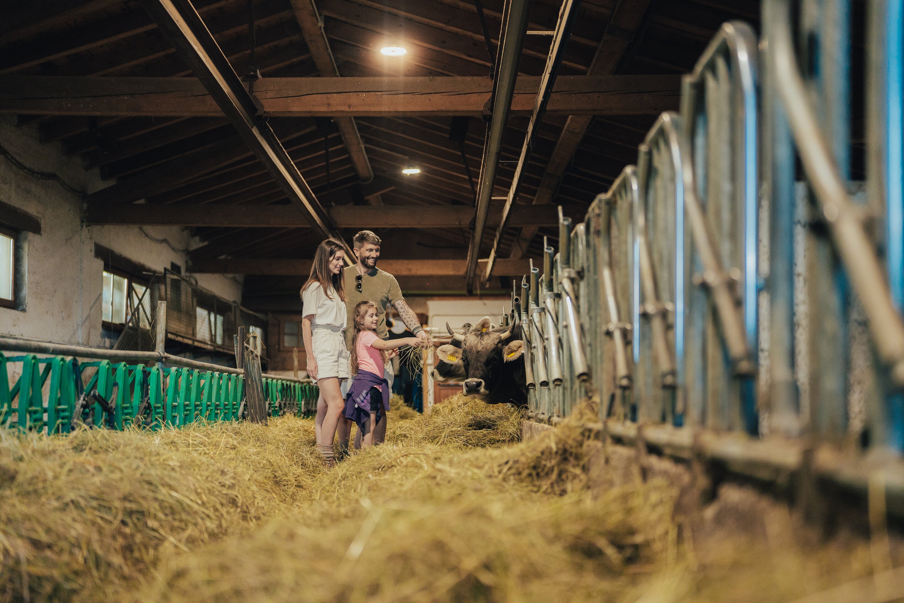 Foto Apt Pine Edit 65