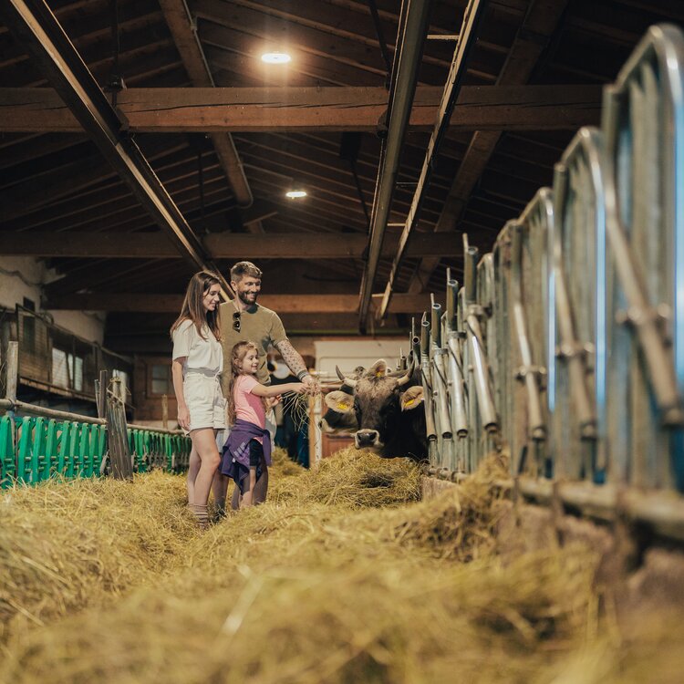 Foto Apt Pine Edit 65