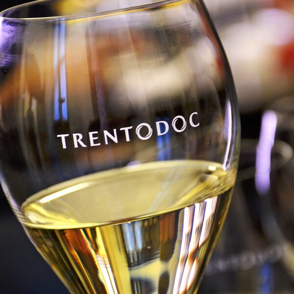 Archivio Cciaa Trentodoc 3