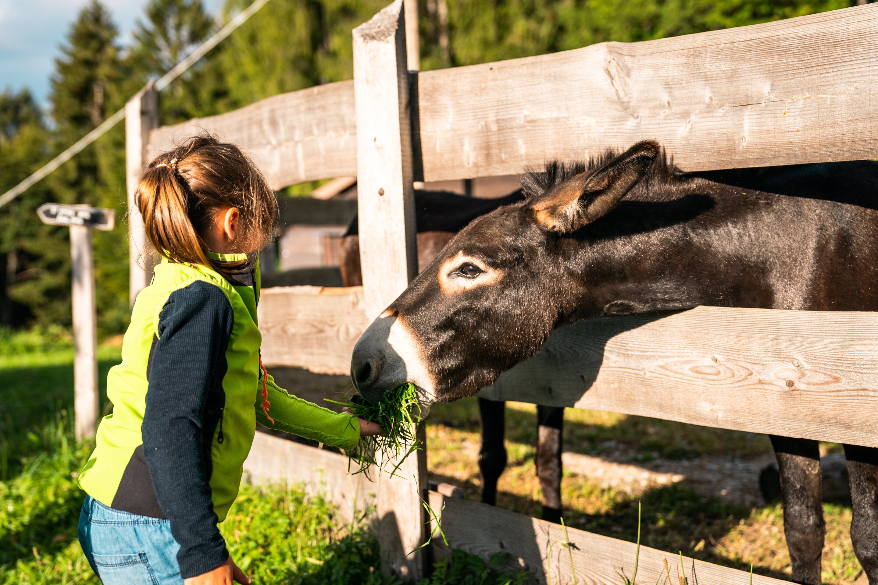 C Camillapizzini 260821 28 Trento